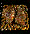 Leg of Lamb.gif